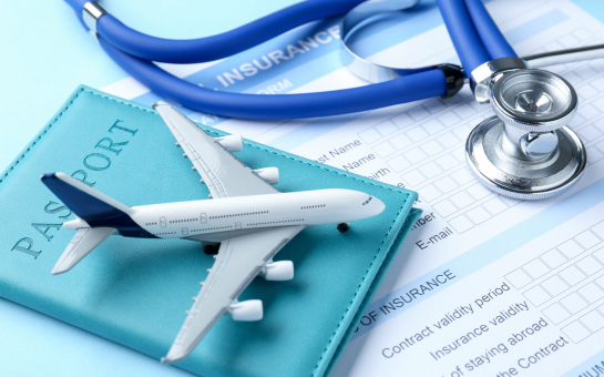 什么是游客保险?